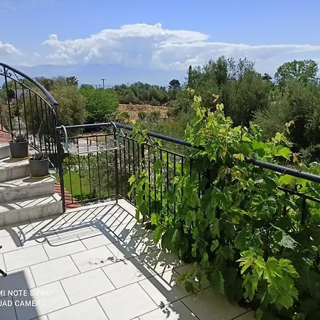 Anastasios Olive Garden * Petalídhion