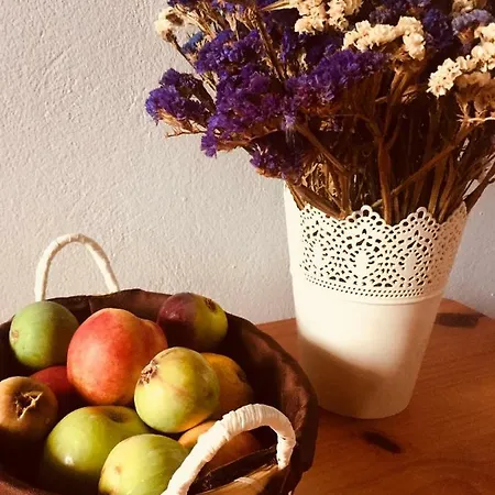 Apartamento Anastasios Olive Garden *