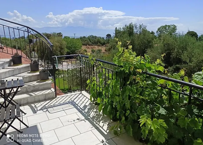 Anastasios Olive Garden * Petalídhion