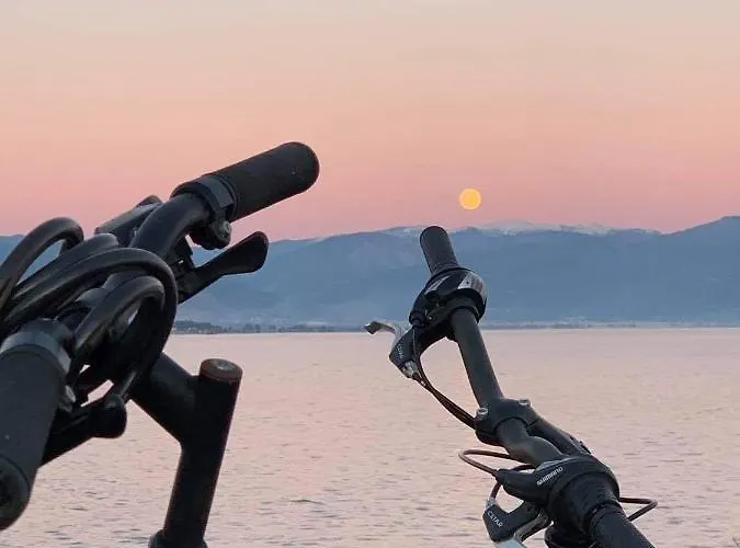 Anastasios Olive Garden