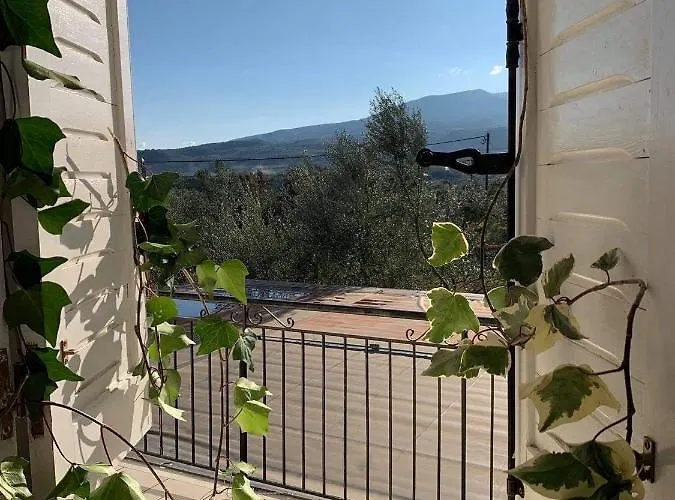 Anastasios Olive Garden *