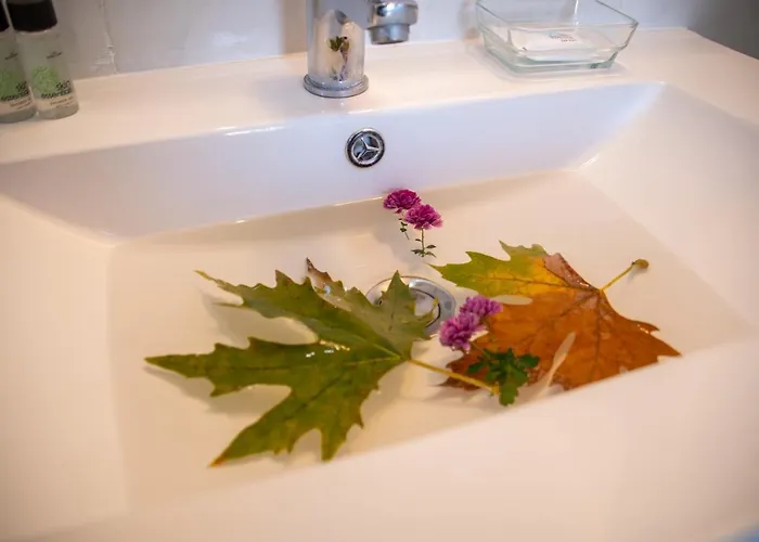 Anastasios Olive Garden Petalídhion