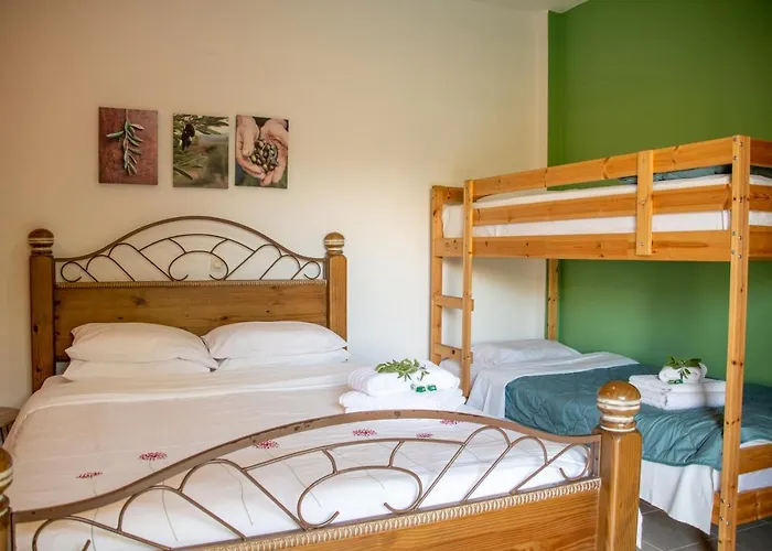 Anastasios Olive Garden Apartamento