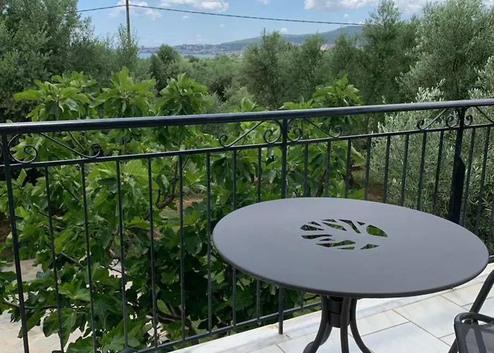 Anastasios Olive Garden *