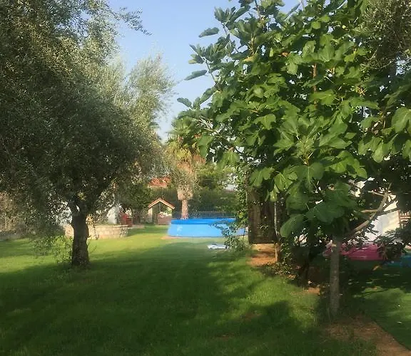 Apartamento Anastasios Olive Garden Petalídhion