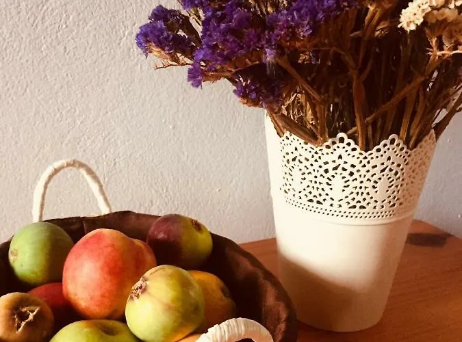 Apartamento Anastasios Olive Garden *