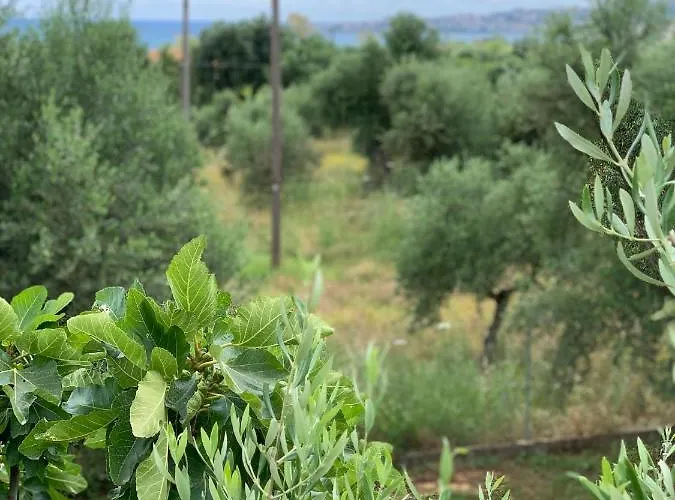 Apartamento Anastasios Olive Garden Petalídhion