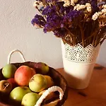 Apartment Anastasios Olive Garden *
