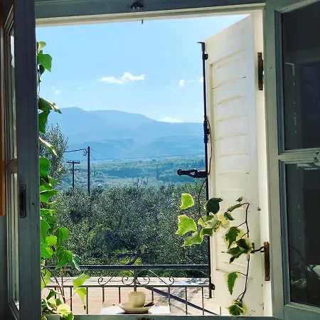 Anastasios Olive Garden דירה *