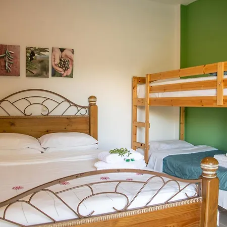 Anastasios Olive Garden Apartamento