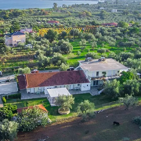 Anastasios Olive Garden * ペタリディオン