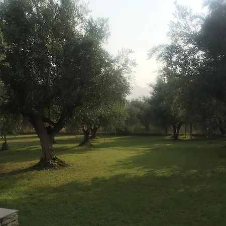 公寓 Anastasios Olive Garden