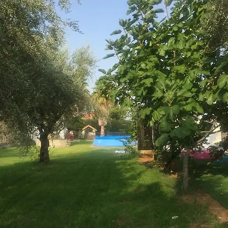 公寓 Anastasios Olive Garden Petalídhion