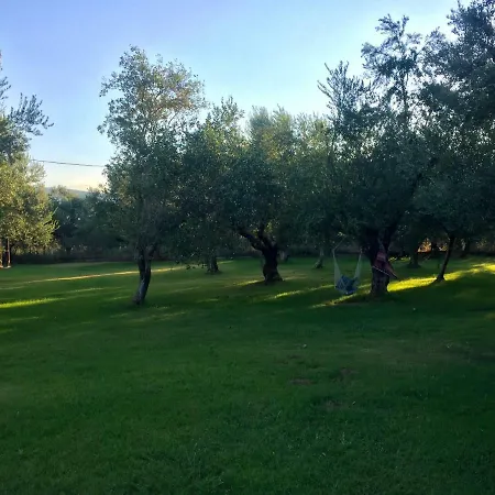 דירה Anastasios Olive Garden Petalídhion