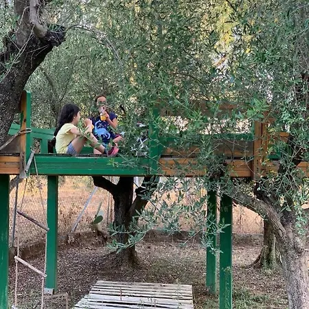דירה Anastasios Olive Garden