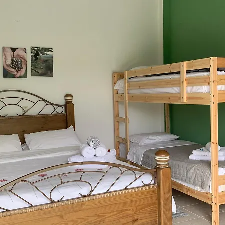 Anastasios Olive Garden *