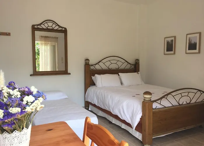 Anastasios Olive Garden Lägenhet *