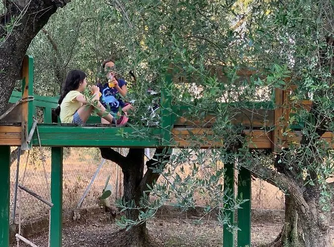 Lägenhet Anastasios Olive Garden